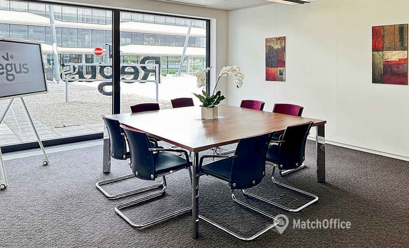 Route de Crassier 7, Salle de réunion Nyon