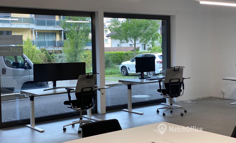 Etzelstrasse 11, Business center Hofe