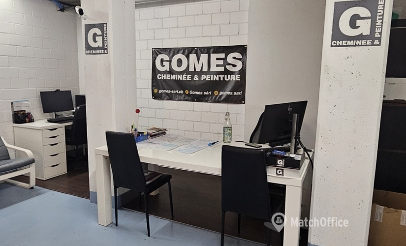 Rue Grange-Lévrier 5, Meetingraum Vernier