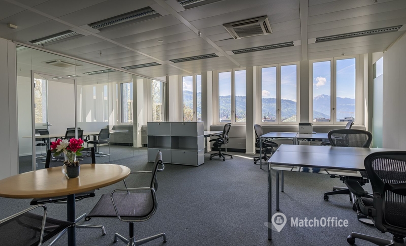 Landis + Gyr-Strasse 1, Business center Zug, 4
