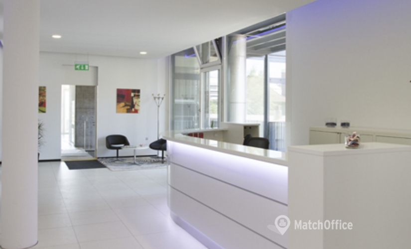 Meeting room Badenerstrasse 549, Zuri, Zürich 8048 Zurich Altstetten