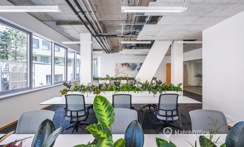 500 m² Co-working in Prague, Lomnického 1705 (140 00) - 1 | MatchOffice.com