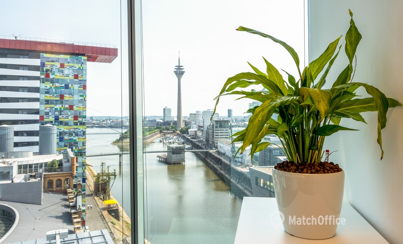 36 m² Business center building available to rent in Dusseldorf, Speditionstraße 1 (40221) - 3 | MatchOffice.com