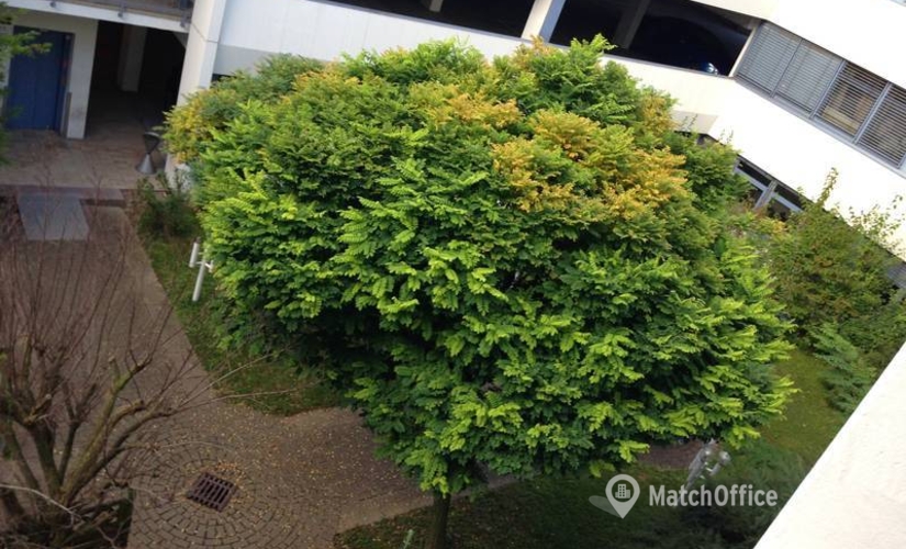 Besprechungsraum Mollenbachstraße 19 71229 Leonberg