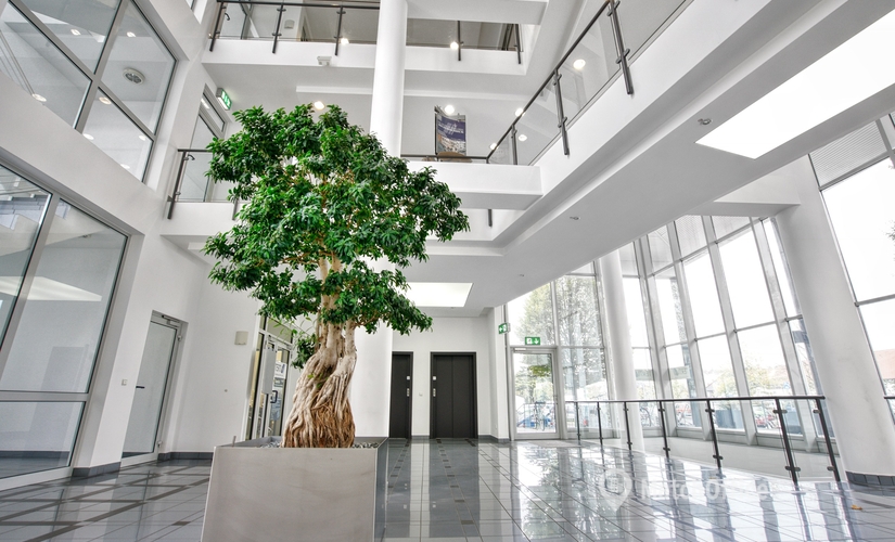 Besprechungsraum Röntgenstraße 7 60388 Frankfurt Bergen Enkheim