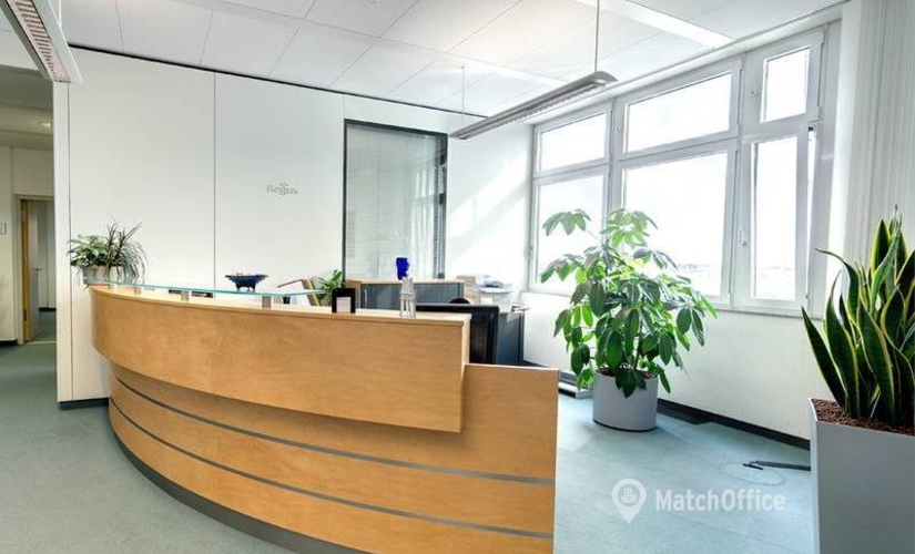 50 m² Coworking space  in Heidelberg, Altrottstrasse 31 (69190) - 4 | MatchOffice