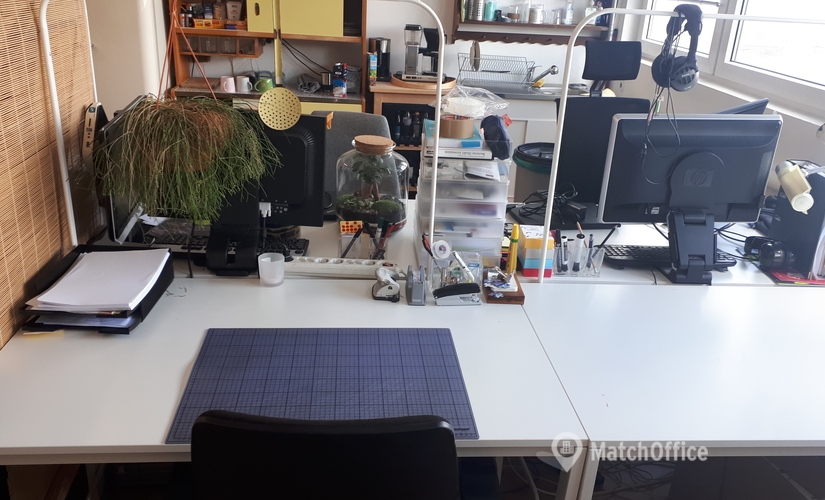 12 m² Business center building for rent in Mainz, Rheinallee 88 (55120) - 2 | MatchOffice.com