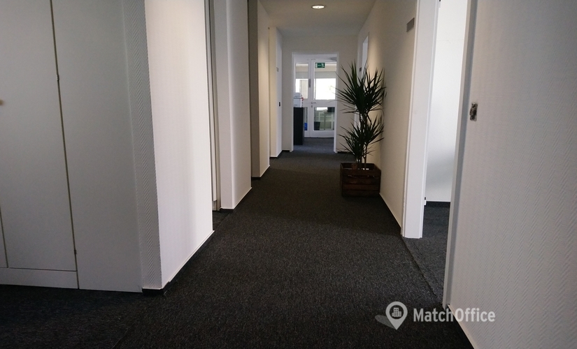300 m² Business center in Ludwigshafen am Rhein, Heinigstraße 26 (67059) - 2 | MatchOffice.com