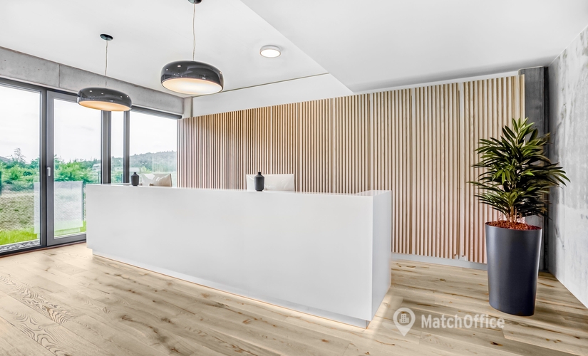 40 m² Shared office  in Kaiserslautern, Europaallee 33 (67657) - 3 | MatchOffice