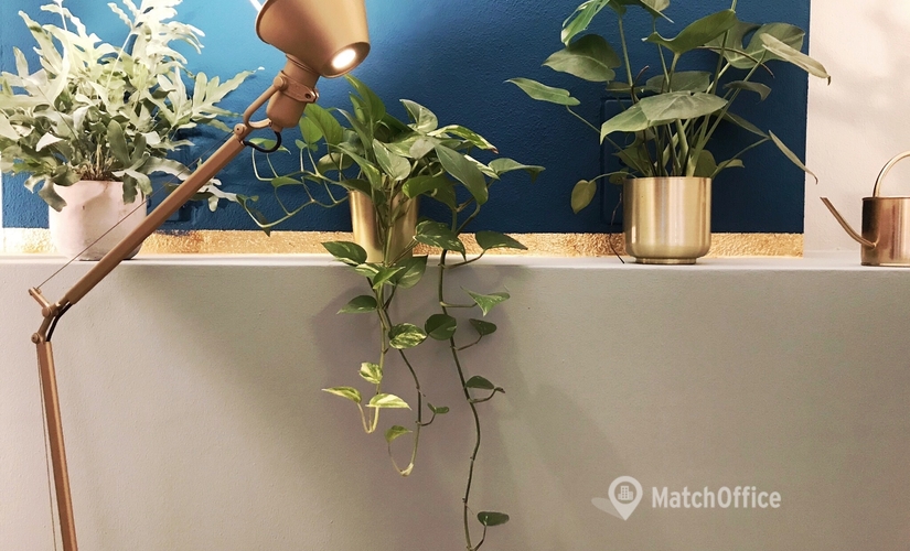 Amalienstraße 71, Business Center in München Flughafen, 4