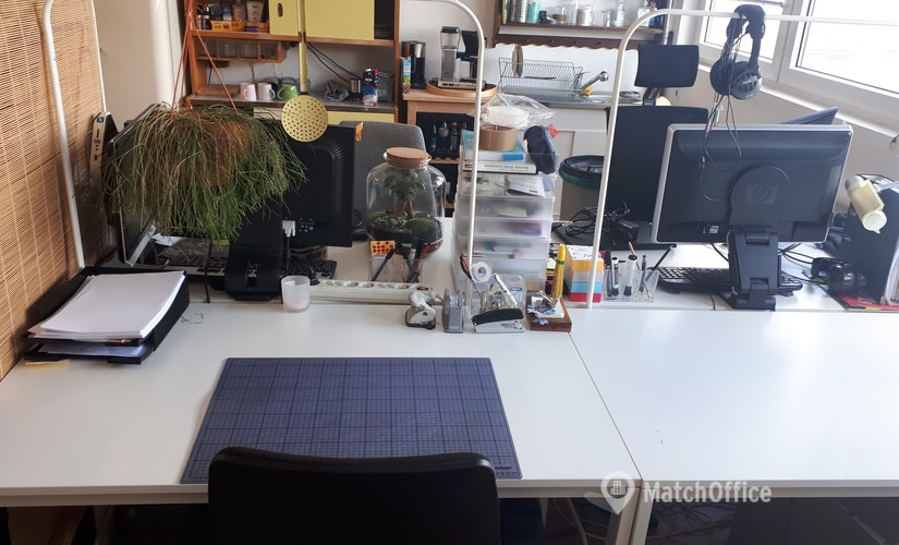 Rheinallee 88, Coworking Space in Mainz, 4