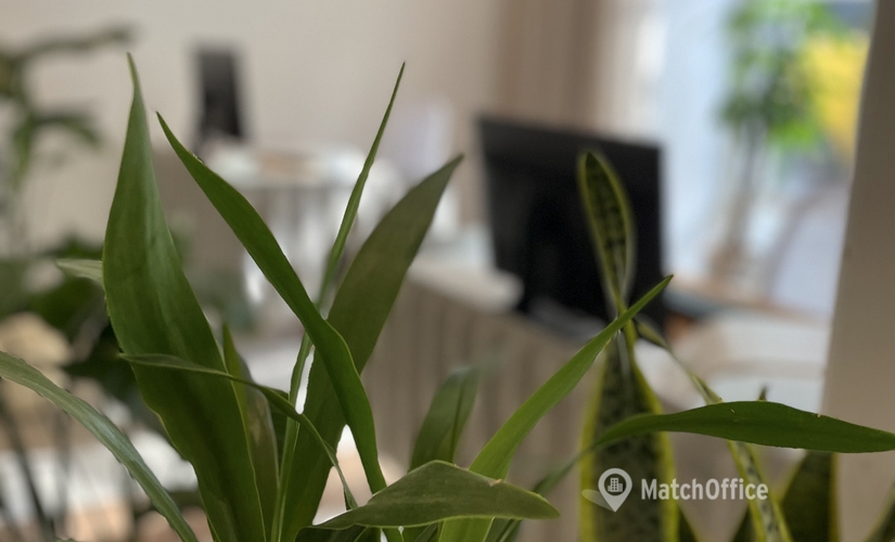 80 m² Shared workspace  in Ludwigsstadt, Häberlstraße 26 (80337) - 3 | MatchOffice.com