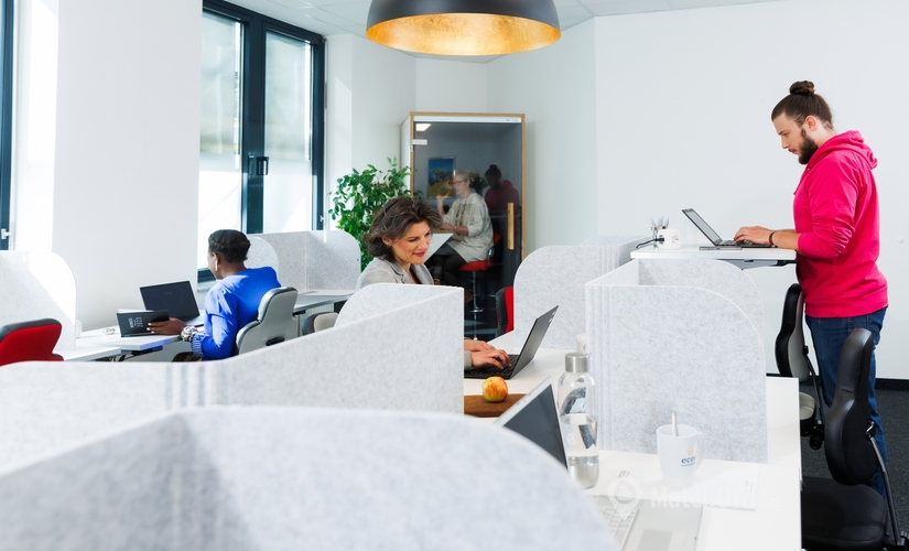 Landsberger Straße 155, Virtual Office in München Schwanthalerhöhe, 42