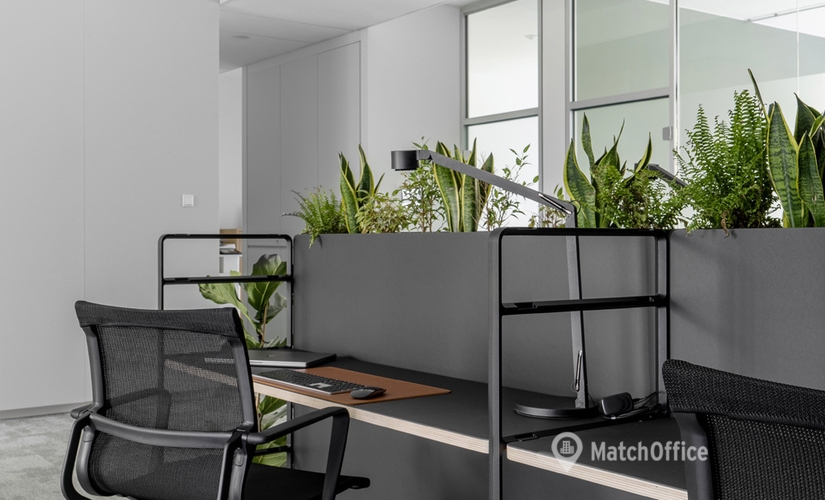 100 m² Co-working in Dusseldorf Altstadt, Königsallee 19 (40212) - 1 | MatchOffice