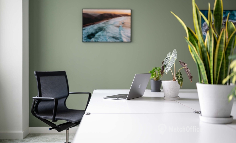 50 m² Conference room in Nuremberg, Frankenstrasse 152 (90461) - 9 | MatchOffice.com