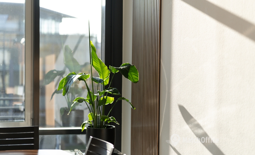 Meeting room in Dresden, Blasewitzer Strasse 41 (01307) - 4 | MatchOffice