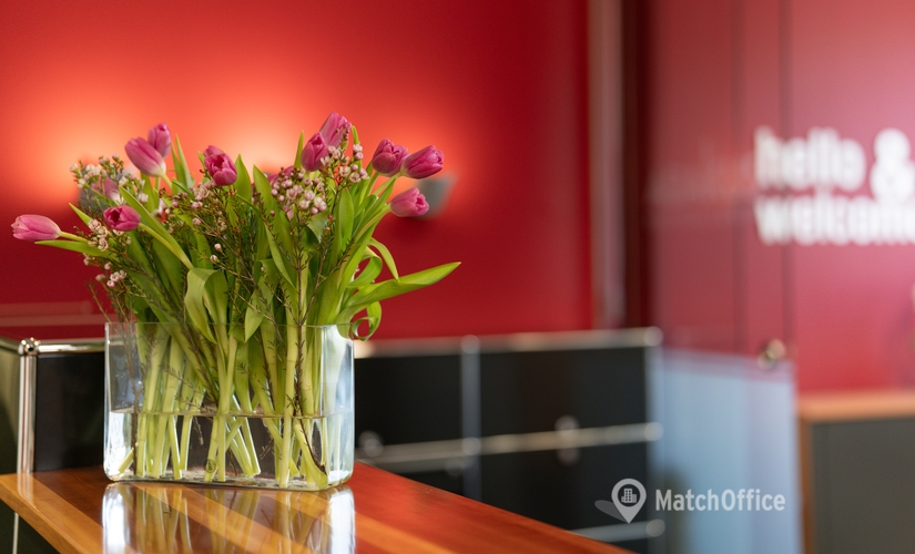 Blasewitzer Straße 41, Business Center in Dresden