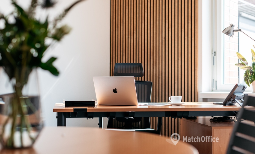 Blasewitzer Straße 41, Büro mieten in Dresden