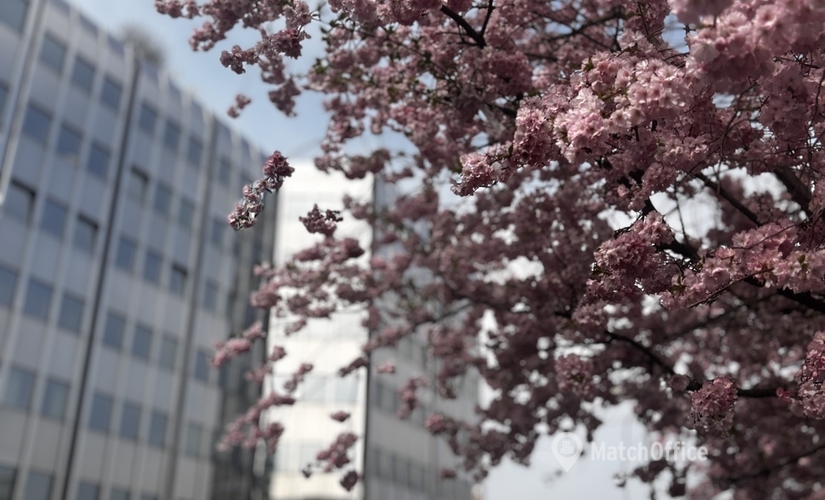 Virtual business address in Dusseldorf Flingern Nord, Grafenberger Allee 277-287 (40237) - 0 | MatchOffice.com