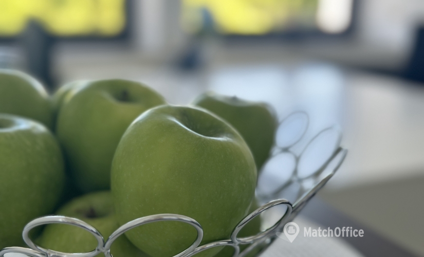 Hamburger Allee 61, Büro mieten in Hannover