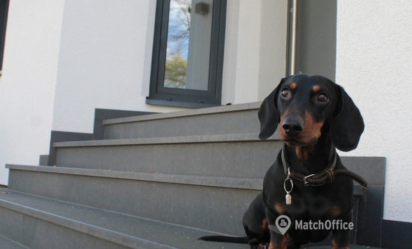 Schackstraße 8, Büro mieten in Hannover