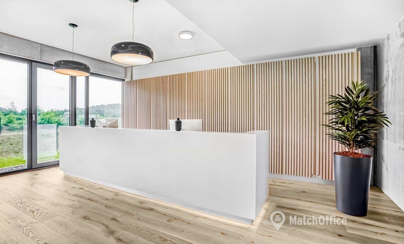 10 m² Shared office  in Kaiserslautern, Europaallee 33 (67657) - 1 | MatchOffice