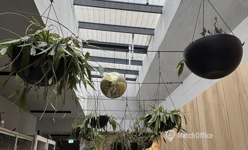 Linienstraße 86, Büro mieten in Berlin Mitte