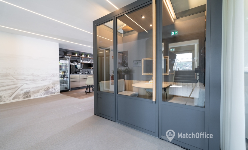 Virtual office Maximilianstraße 14 80539 Munich Altstadt