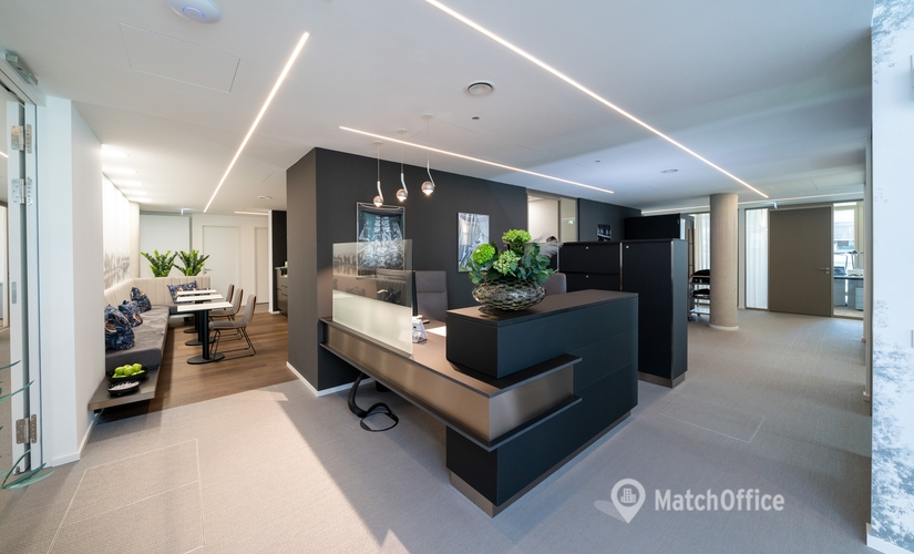 Virtual office Maximilianstraße 14 80539 Munich Altstadt