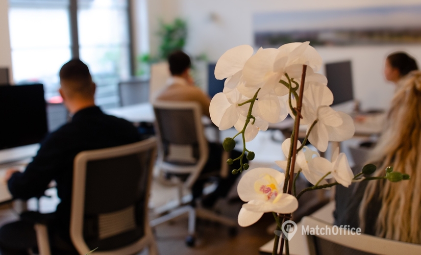 Сoworking Adersstraße 71A 40215 Düsseldorf Friedrichstadt