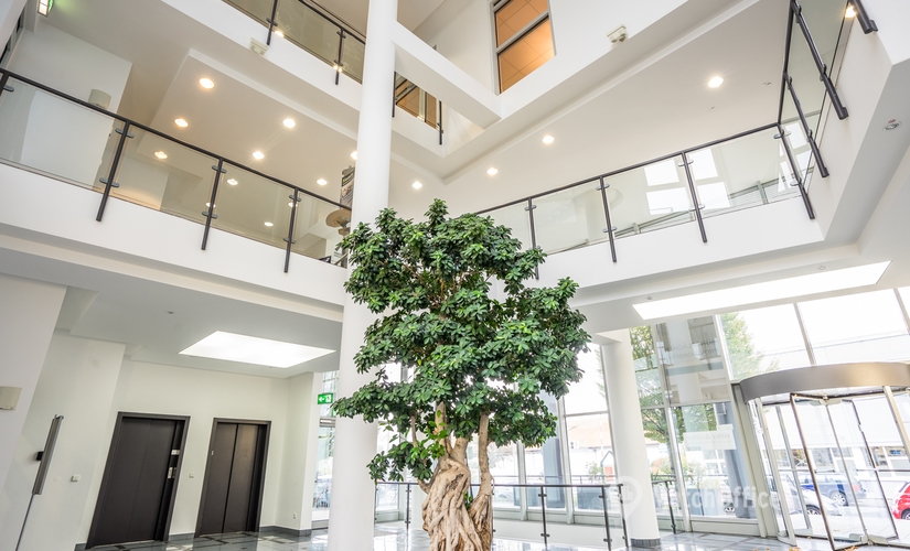 Business center Röntgenstraße 7 60388 Frankfurt Bergen Enkheim