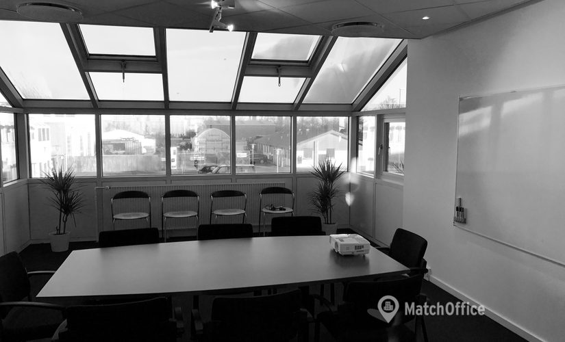 Conference space in Hvidovre, Industriholmen 80 & 82 (2650) - 6 | MatchOffice