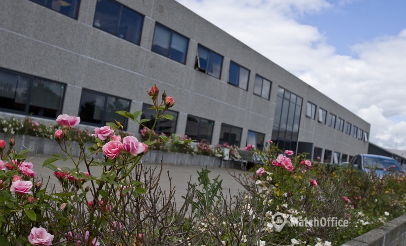 Office Jættevej 50, 1 tv 4100 Ringsted