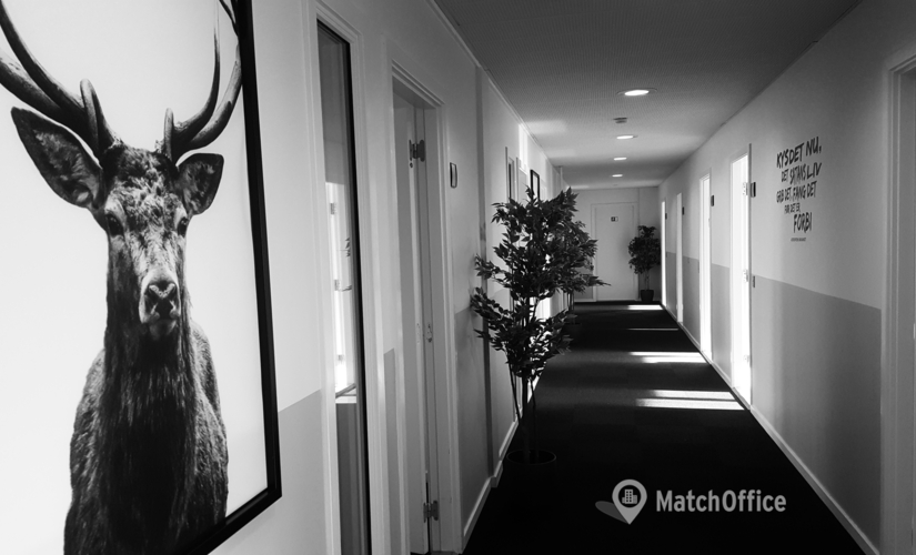 Lease suitable a 10 m² Co-working in Ringsted, Nørretorv 30 (4100) - 12 | MatchOffice.com