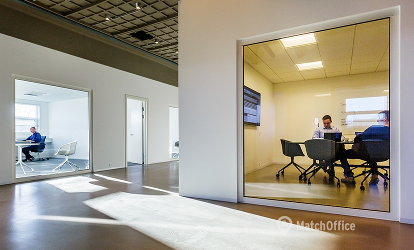 Rent flexible a 1000 m² Shared workspace in Taastrup, Dybendalsvænget 2 (2630) - 4 | MatchOffice.com