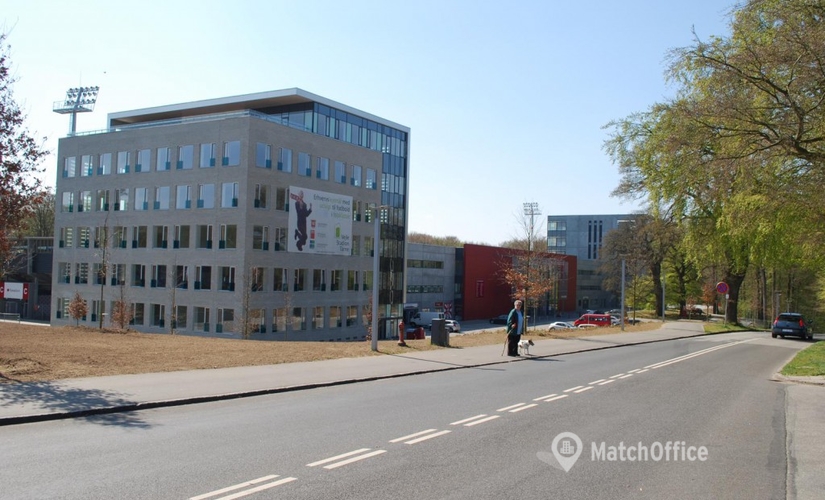 1300 m² velindrettet Butikslokale til leje i Vejle, Roms Hule 8 (7100) - 0 | Lokalebasen.dk