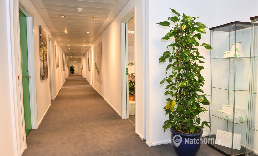 725 m² Serviced office for rent in Allerod, Gydevang 39-41, 3450 - 10 | MatchOffice