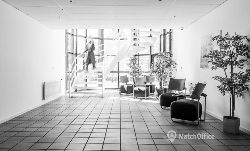 249 m² Business space in Hvidovre, Industriholmen 80 & 82 (2650) - 1 | MatchOffice.com