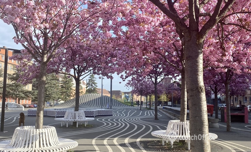 Kontor til leje på Titangade 9-13, 2200 København N - 892 m² | Foto 11 - Lokalebasen