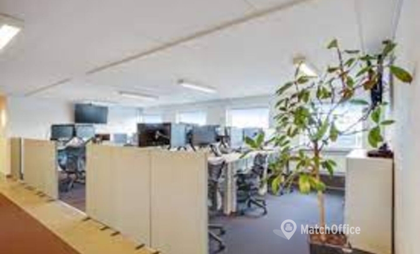 1000 m² Warehouse storage for rent in Haderslev, Norgesvej 20 (6100) - 5 | MatchOffice.com