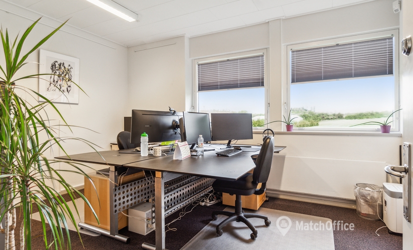 Office Sørupvej 29 5700 Svendborg