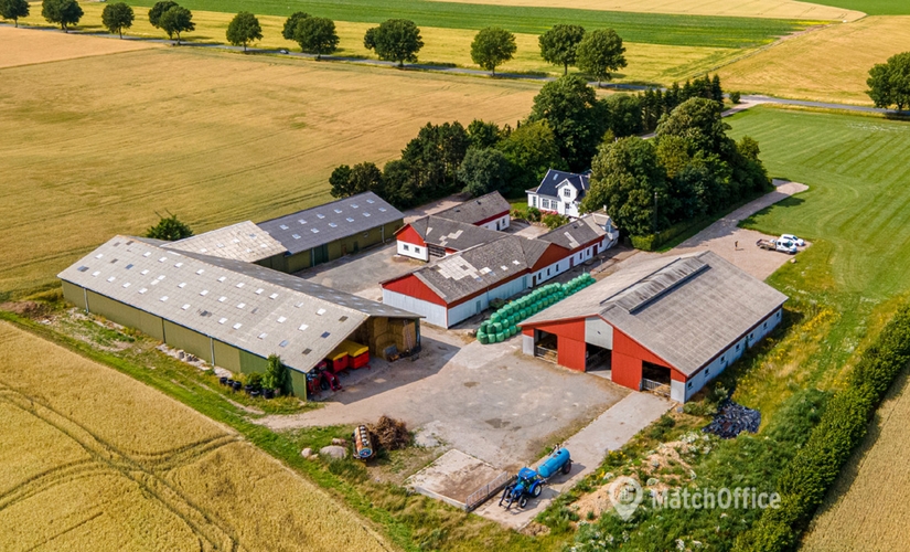 495 m² Office warehouse for rent in Lille Skensved, Åmarken 4 (4623) - 3 | MatchOffice.com