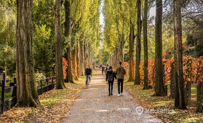 Butik til leje på Struenseegade 13, 2200 København N - 187 m² | Foto 1 - Lokalebasen