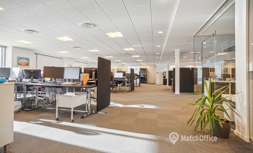 Office Borupvang 5E 2750 Ballerup