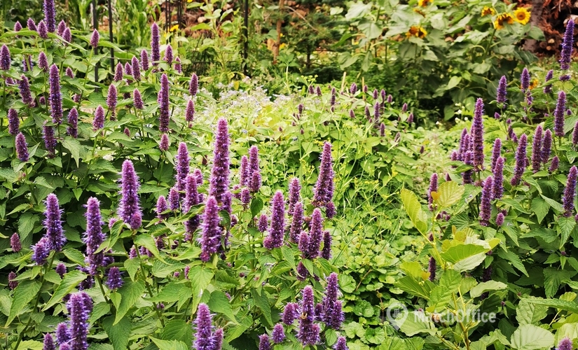 Mødelokale på Kærbyvej 4, 8560 Kolind - | Foto 3 - Lokalebasen