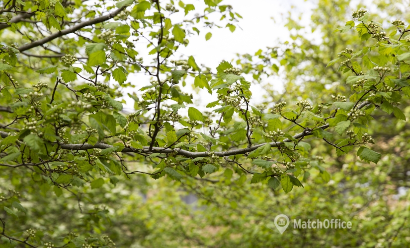 Kontor til leje på Telegade 2, 2630 Taastrup - 6992 m² | Foto 3 - Lokalebasen.dk