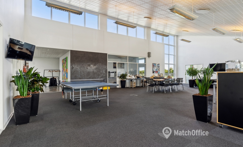 2251 m² Office warehouse rental in Vejle, Edisonvej 5 (7100) - 3 | MatchOffice.com