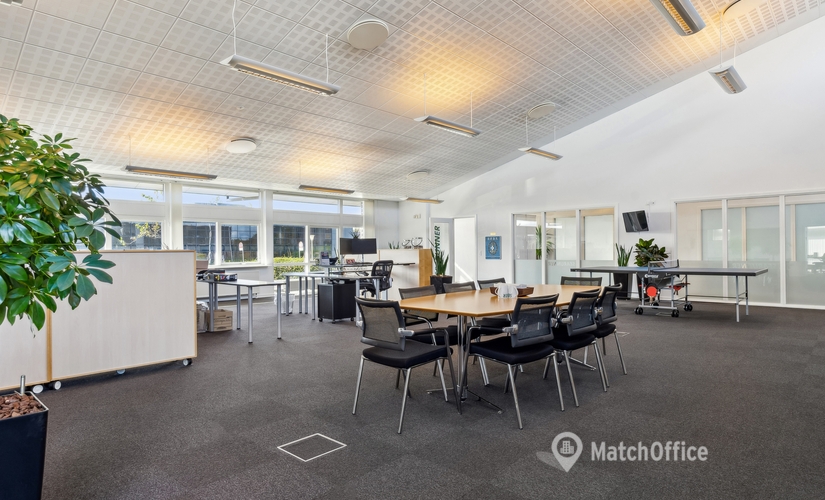 2251 m² Warehouse storage for rent in Vejle, Edisonvej 5 (7100) - 2 | MatchOffice.com