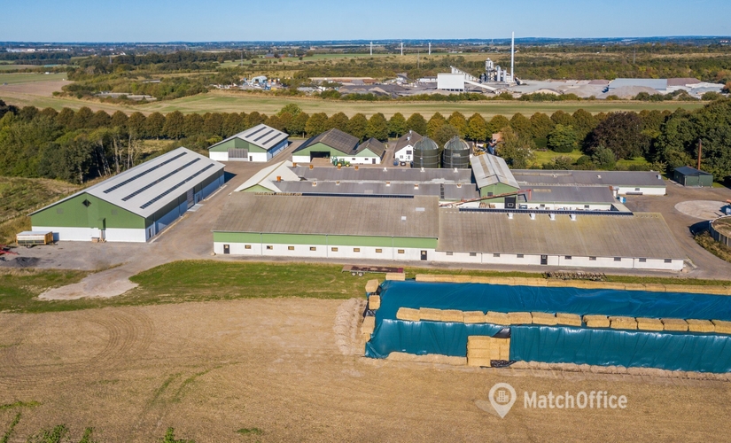 1050 m² Warehouse rental in Roskilde, Ledreborg Alle 30 (4000) - 4 | MatchOffice