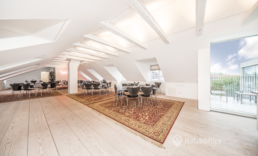 Office Frederiksgade 17 1265 Copenhagen City Center